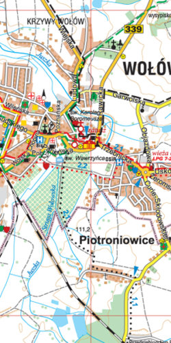 Ziemia Wołowska - widok mapy papierowej